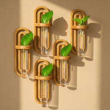Load image into Gallery viewer, Artful bamboo and glass propagation vases displayed on wall with a small pothos.
