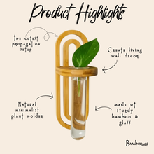 Load image into Gallery viewer, Product highlights for cute and sturdy bamboo plant wall hanger
