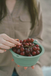 Using a collapsible bowl as a camping bowl to hold grapes. 