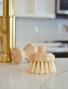 A modular dish brush, featuring the replaceable, compostable head. 