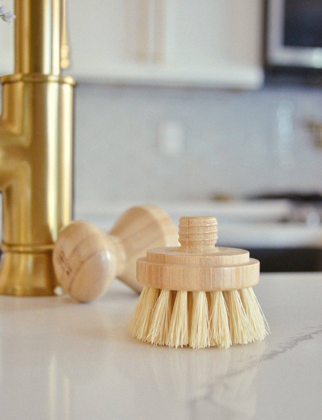 A modular dish brush, featuring the replaceable, compostable head. 