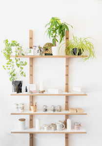 Wooden shelves holding various plants, candles, and glass jars on an off-white background